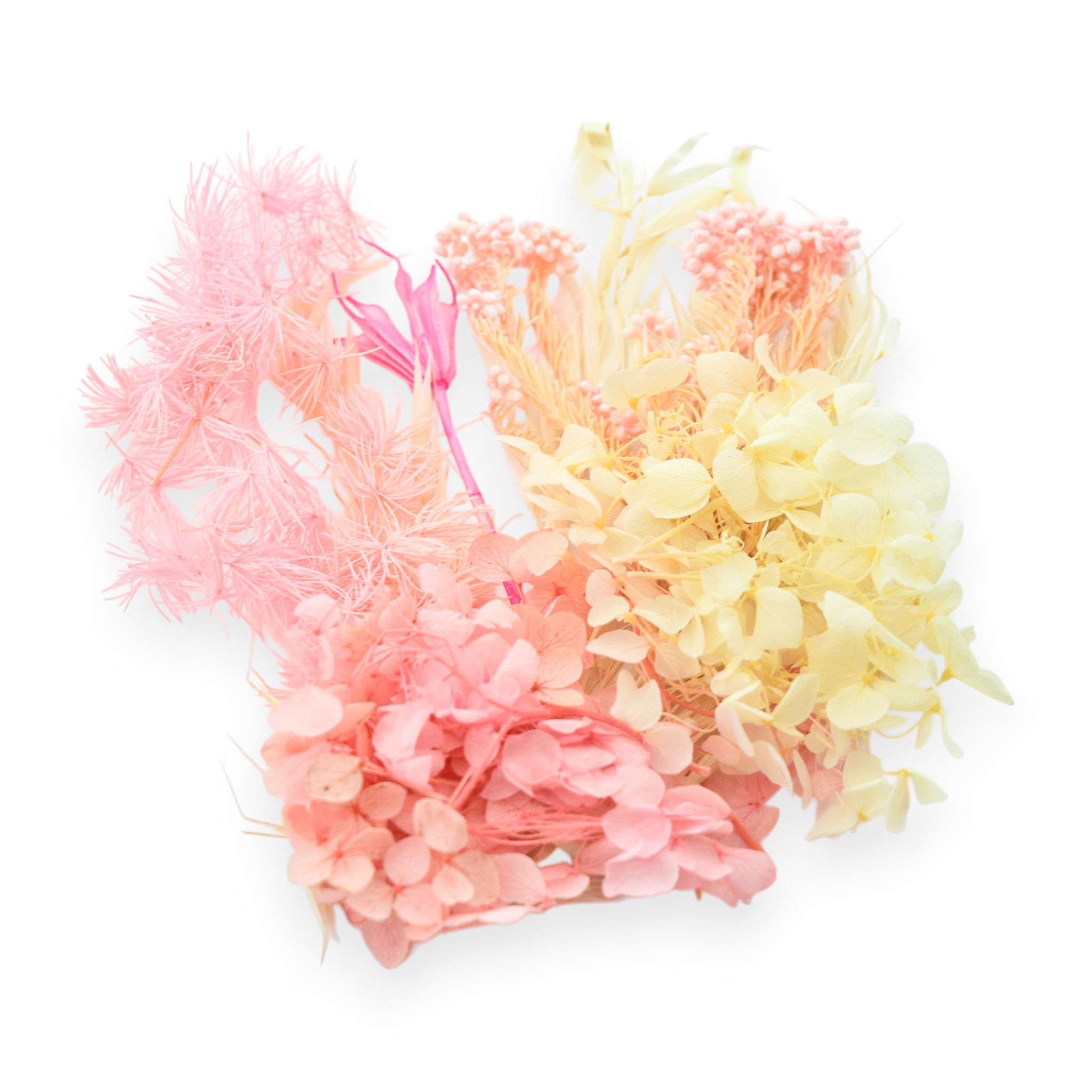 Dried Flowers - Pink